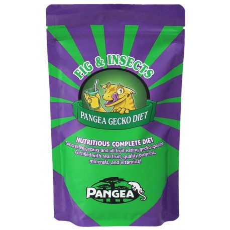 Pangea Fig & Insects