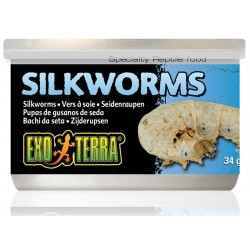 Canned Silkworms (Exo Terra)
