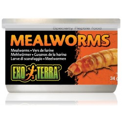 Canned Mealworms (Exo Terra)