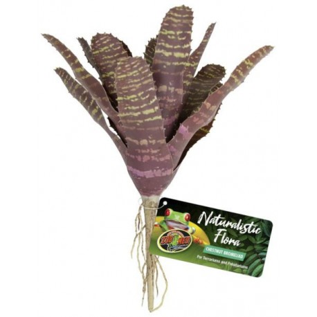 Chestnut Bromeliad (Zoo Med)