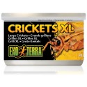 Canned Crickets - XL (Exo Terra)