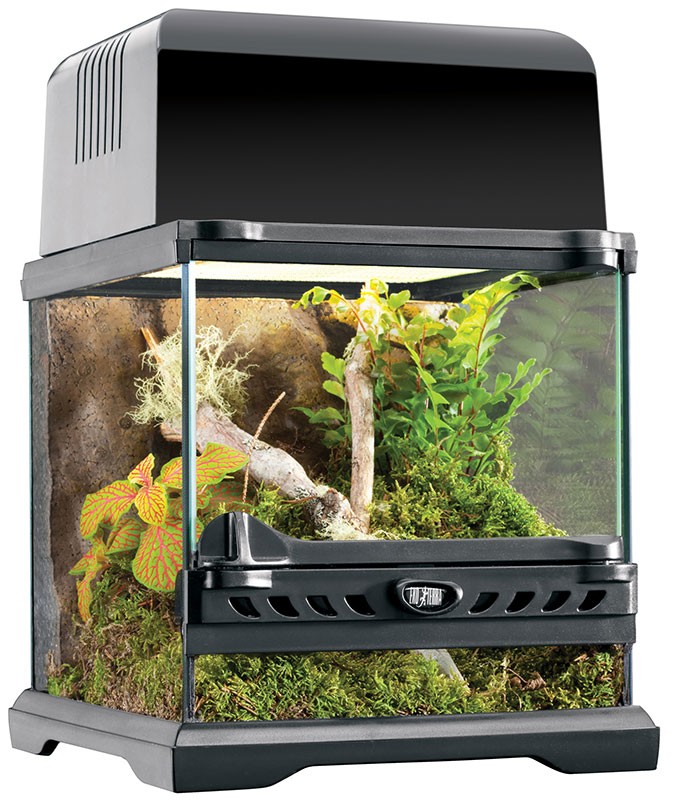 EXO terrarium チャニョル CHANYEOL EXO terrarium チャニョル CHANYEOL EXO terrarium チャニョル