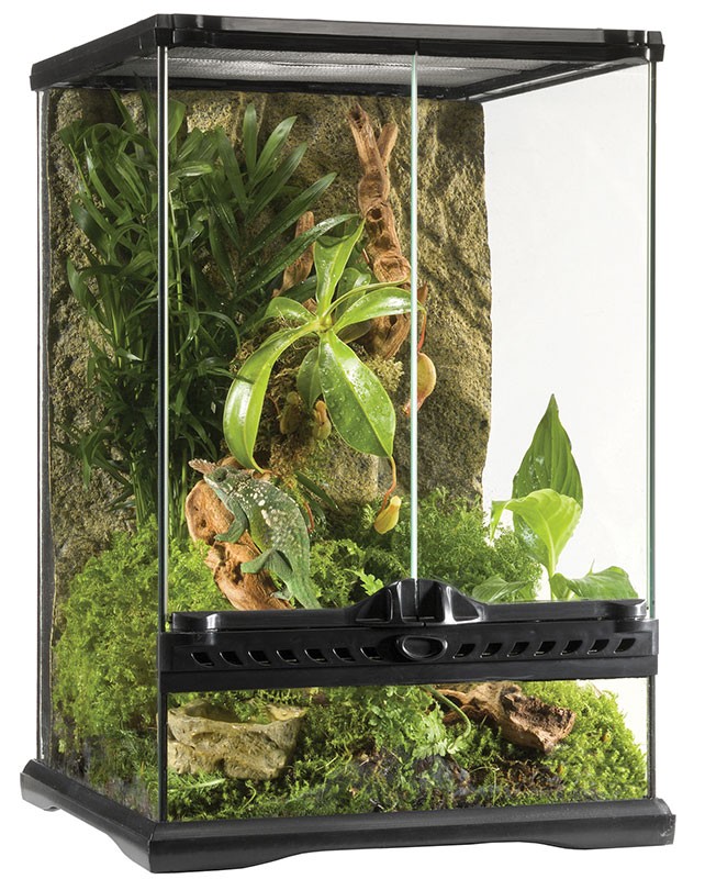 Wholesale Exo Terra Natural Terrarium