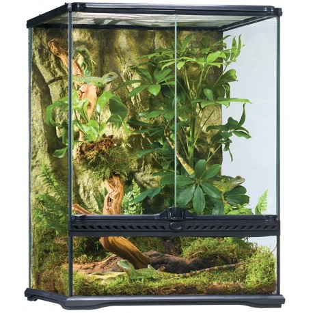 Natural Terrarium - Small/Tall (Exo Terra)