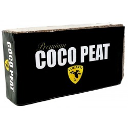 Premium Coco Peat - Single Brick (Lugarti)