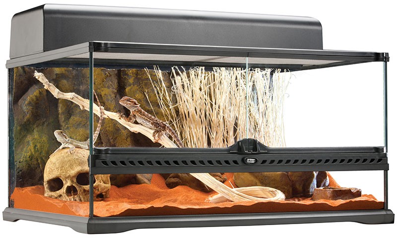 Wholesale Exo Terra Natural Terrarium