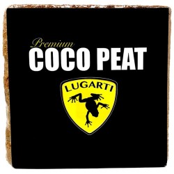 Premium Coco Peat - Block (Lugarti)
