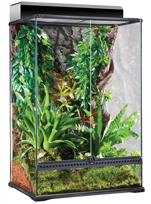 Wholesale Exo Terra Natural Terrarium