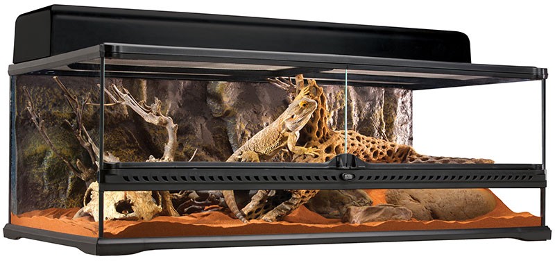 Wholesale Exo Terra Natural Terrarium