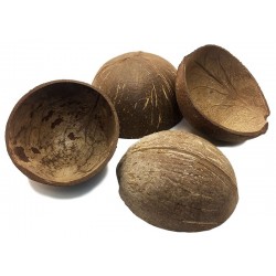Coconut Shell Half (RSC)