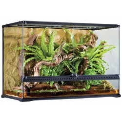 exo terra short all glass terrarium