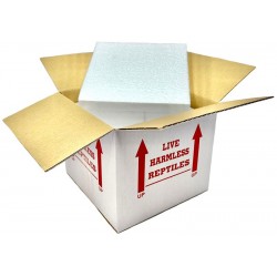 Insulated Shipping Box - 3/4" Foam (7" x 7" x 6") (RSC)