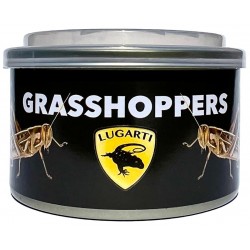 Canned Grasshoppers (Lugarti)