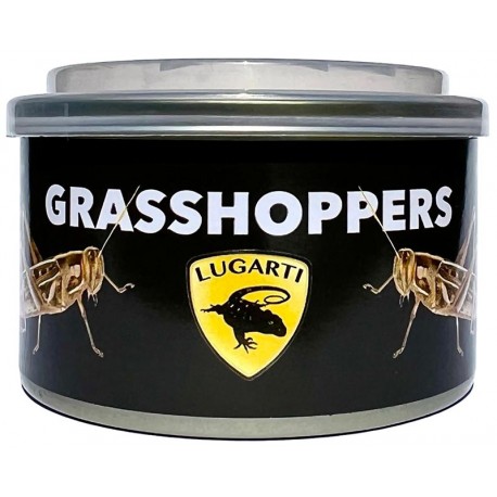Canned Grasshoppers (Lugarti)
