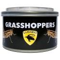 Canned Grasshoppers (Lugarti)