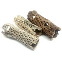 Cholla Cactus Wood - XS (Lugarti)