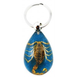 Keychain - Yellow Scorpion (Blue)