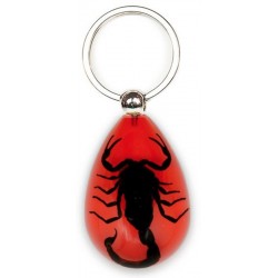 Keychain - Yellow Scorpion (Red - Teardrop)