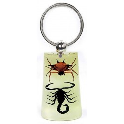 Keychain - Scorpion vs. Spider (Glow - Rectangle)