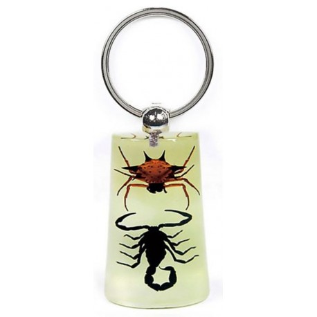 Keychain - Scorpion vs. Spider (Glow - Rectangle)