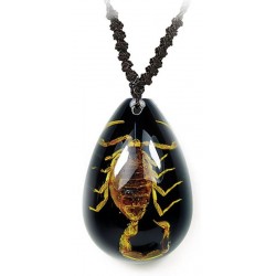 Necklace - Yellow Scorpion (Black - Teardrop)