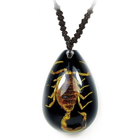 Necklace - Yellow Scorpion (Black - Teardrop)