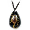 Necklace - Yellow Scorpion (Black - Teardrop)