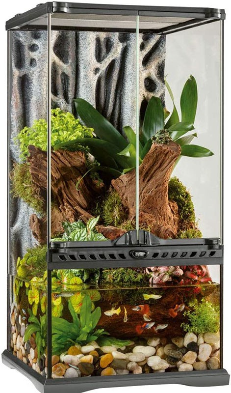 Natural Terrarium Large X-Tall