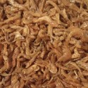 Dried Red Shrimp - 1 oz (RSC)