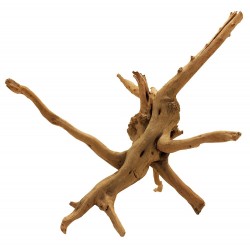 Spider Wood - SM (Lugarti)