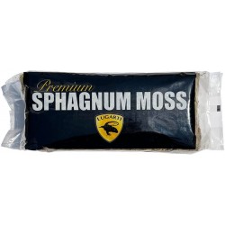 Premium Sphagnum Moss - 150g (Lugarti)