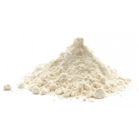 Micellar Casein - 1 LB (RSC)