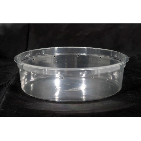 6.75" Clear Deli Cup - 32 oz -Punched (pinnPACK)