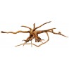 Spider Wood - JM (Lugarti)