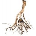 Talawa Mangrove Root - XL (Zoo Med)