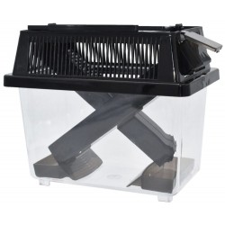 Cricket Keeper - Small (Komodo)