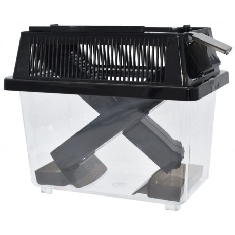 Cricket Keeper - Large (Komodo)