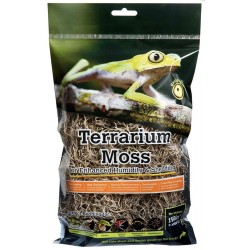 Spanish Moss - 2.6qt (Galapagos)