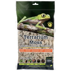 Reindeer Moss - 2.6qt (Galapagos)