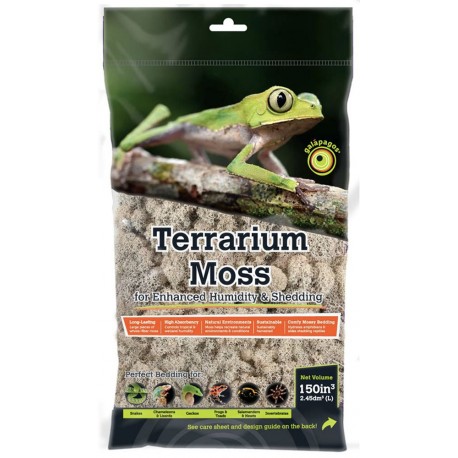 Reindeer Moss - 2.6qt (Galapagos)