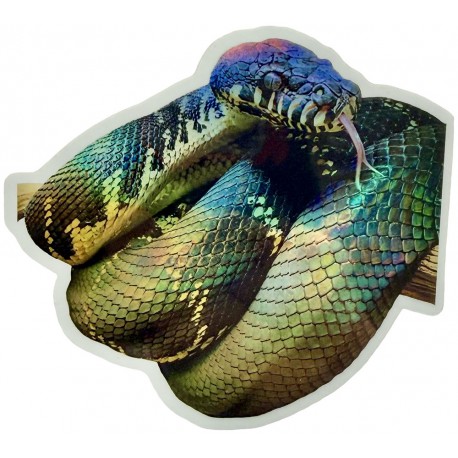 Sticker - Boelen's Python