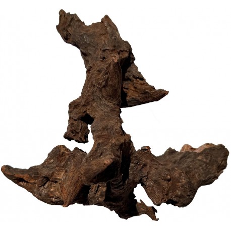 Natural Driftwood - Small (Lugarti)