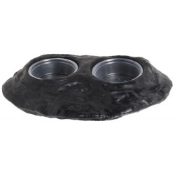 Gecko Ledge - Double Magnet (Pangea)
