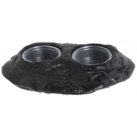 Gecko Ledge - Double Magnet (Pangea)
