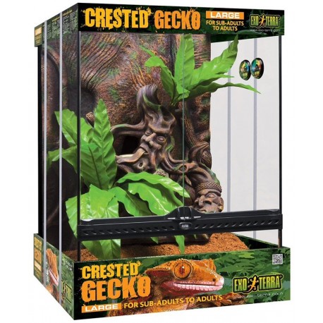 Crested Gecko Kit - LG (Exo Terra)
