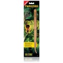 Bamboo Tweezers (Exo Terra)