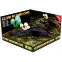 Glow Mushrooms (Exo Terra)